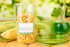 Zoar biofuel availability